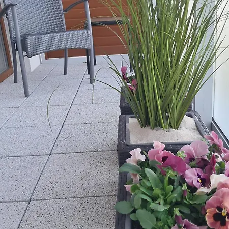 Bossa Ustronie Morskie - *