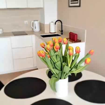 Bossa Ustronie Morskie - 시아노제티